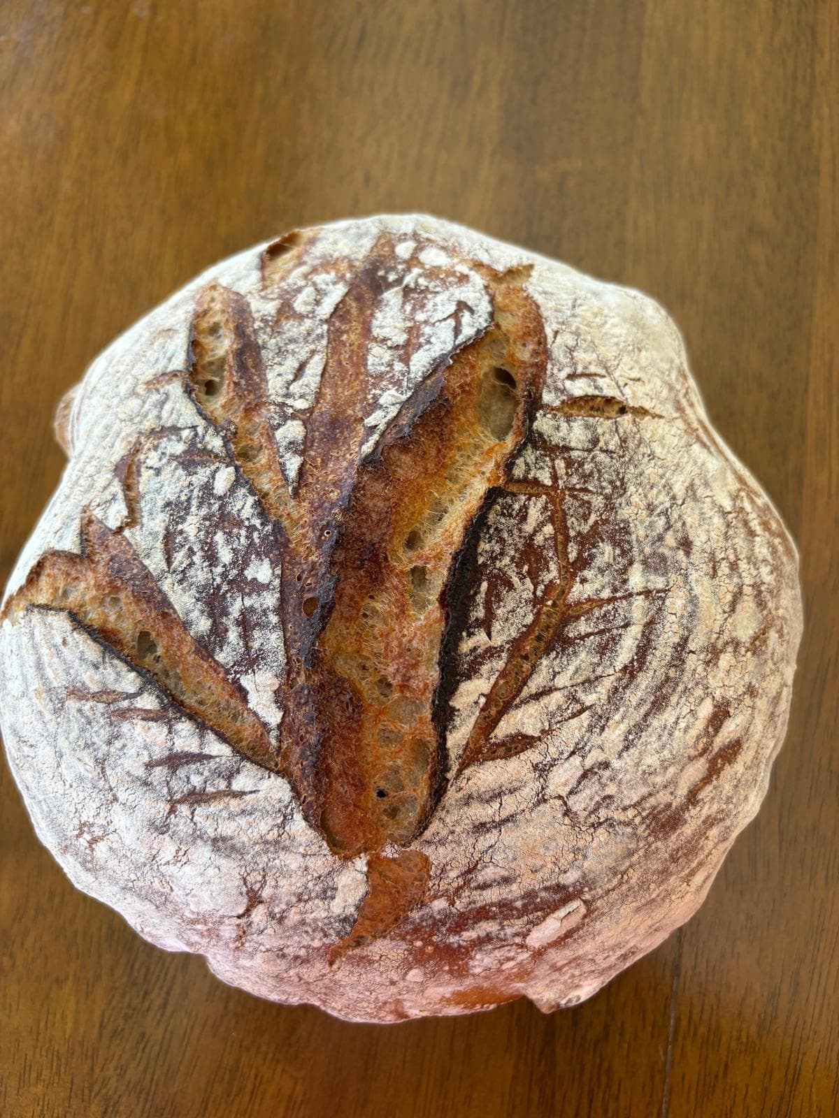 Ancient Grain Emmer sourdough loaf